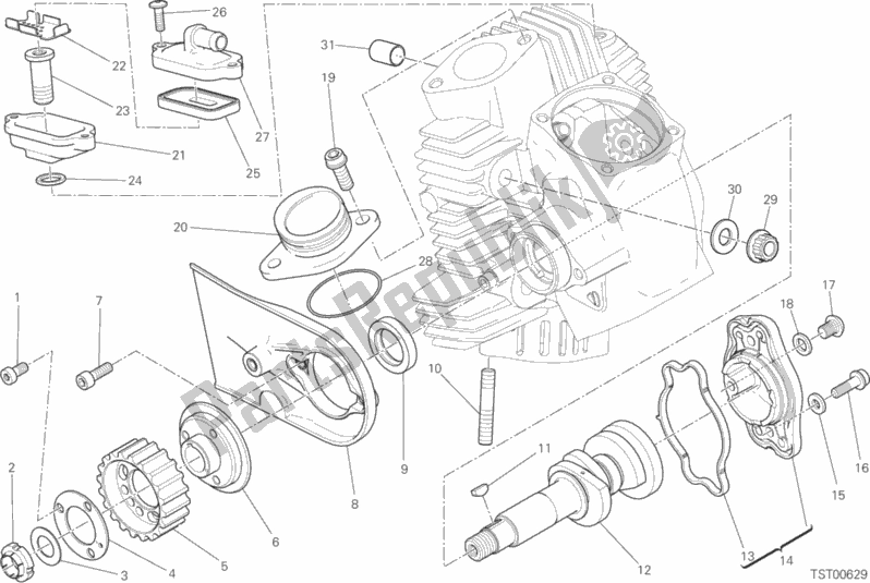 Todas las partes para Sistema De Sincronización De Cabezal Horizontal de Ducati Scrambler Flat Track Thailand USA 803 2020